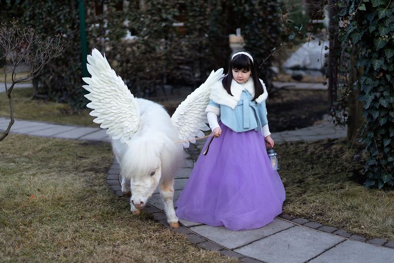 Маленькая лошадка фото превью