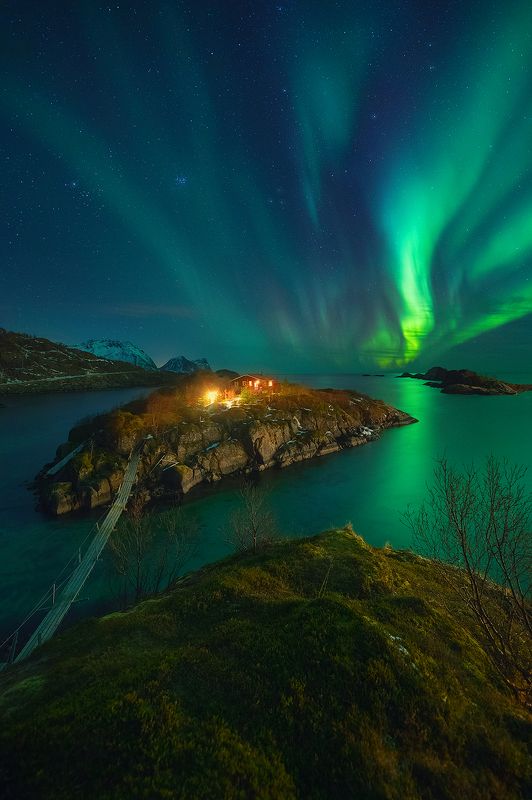 norway, night, aurora, borealis, landscape, sea, island  hamnphoto preview