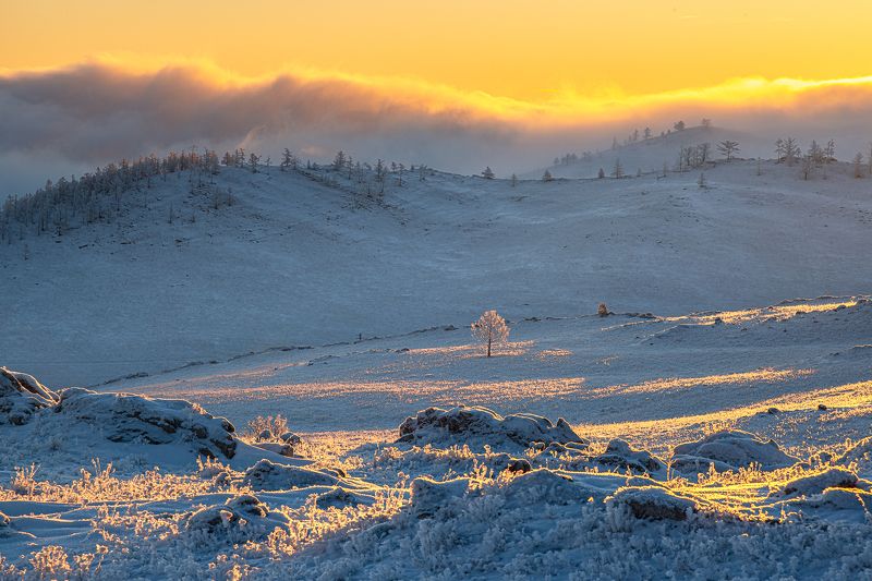 зима,снег,рассвет, туман, тажеранская степь Утро в Тажеранской степиphoto preview