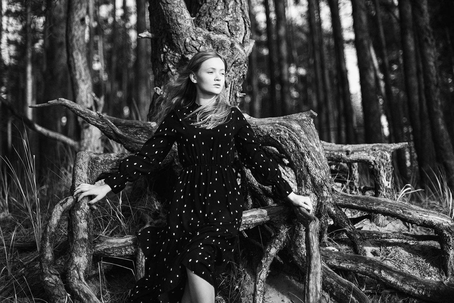 , Юрий Солотин