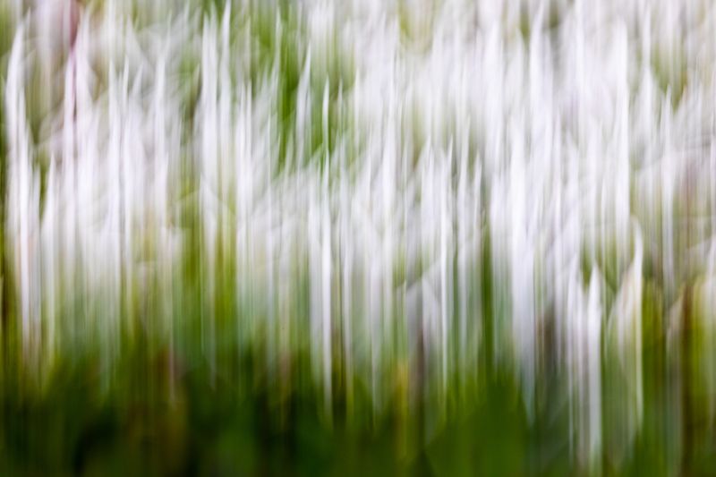 арт, тундра, трава, россия, природа россии, конмадорские острова  Тундраphoto preview