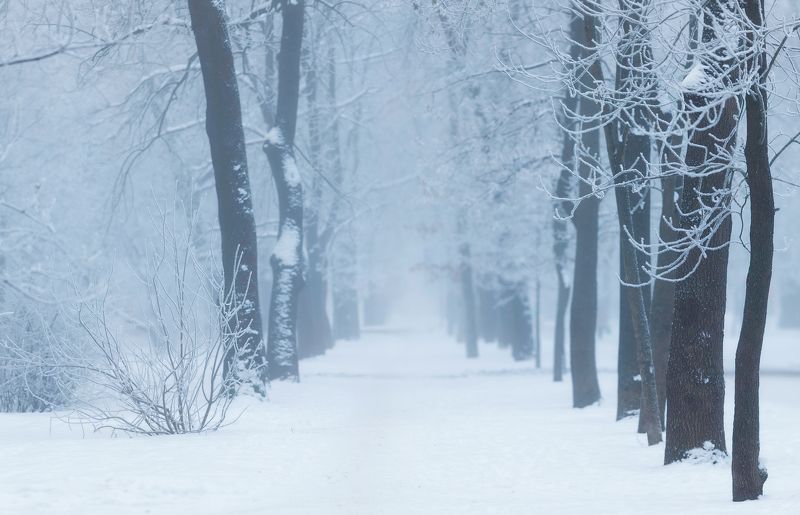 питер, пушкин, царское, царскоесело, зима Холодноphoto preview