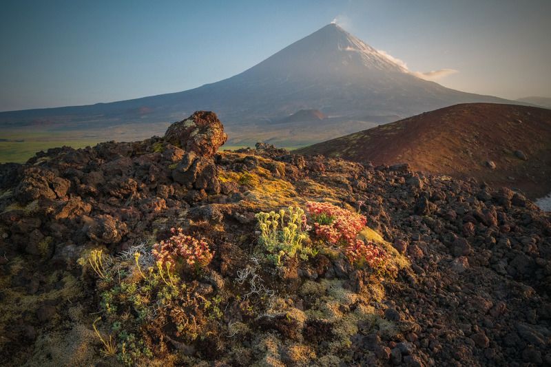 камчатка,ключевская,вулкан,kamchatka,vulkan о формах жизни и смертиphoto preview