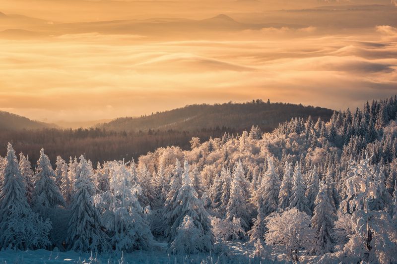 Sunrise, landscape, winter, snow, sun, light, nature, czech republic, fog, mist White and Goldphoto preview
