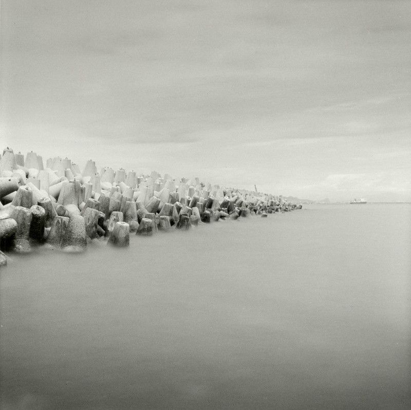 filmphotography, analogphotography, darkroomphotography, silvergelatineprint, b&w, blackandwhite Silent guardphoto preview