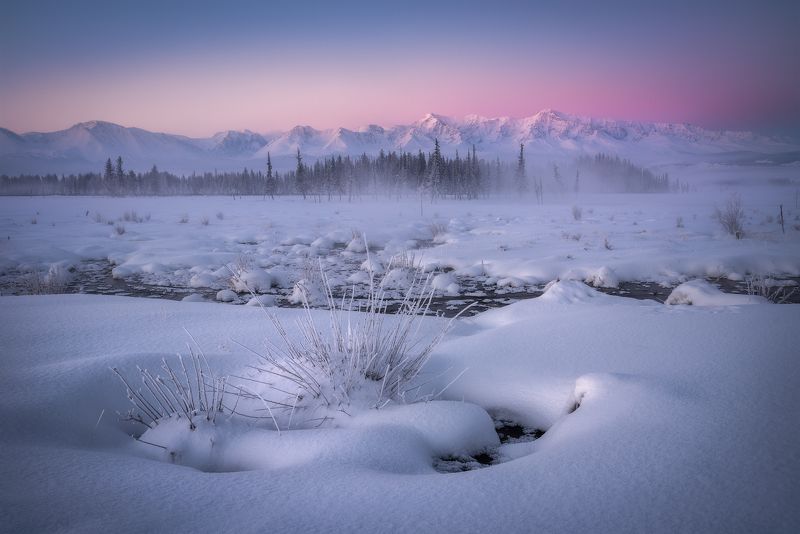 алиай, горный алтай, кош-агачский район, курайская степь, рассвет, северо-чуйский хребет, зимний алтай, снег, мороз, февраль, еловый лес, горный хребет, пояс венеры Курайские зориphoto preview