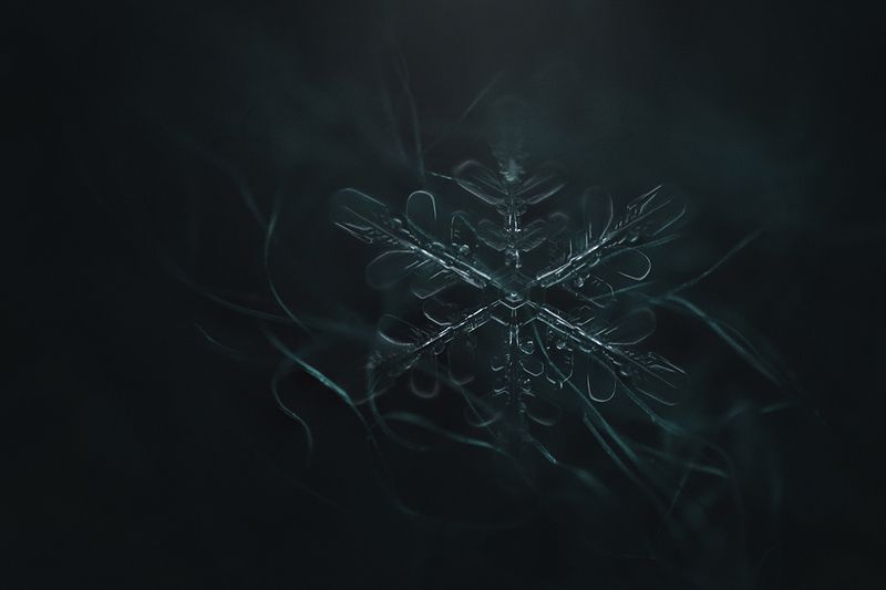 макро, снежинки Снежинкиphoto preview