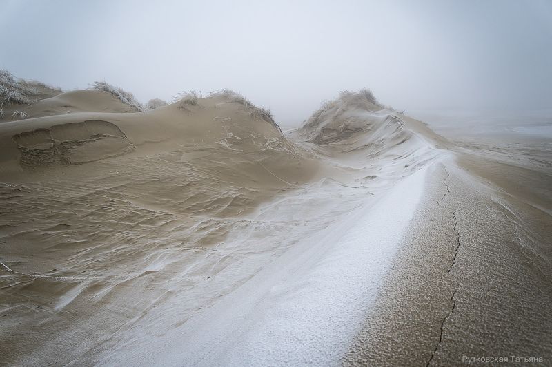 Зима в дюнахphoto preview