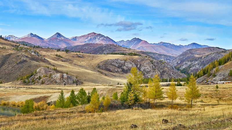 пейзаж,горы, деревья, Горный Алтай.  Новое- хорошо забытое старое! photo preview