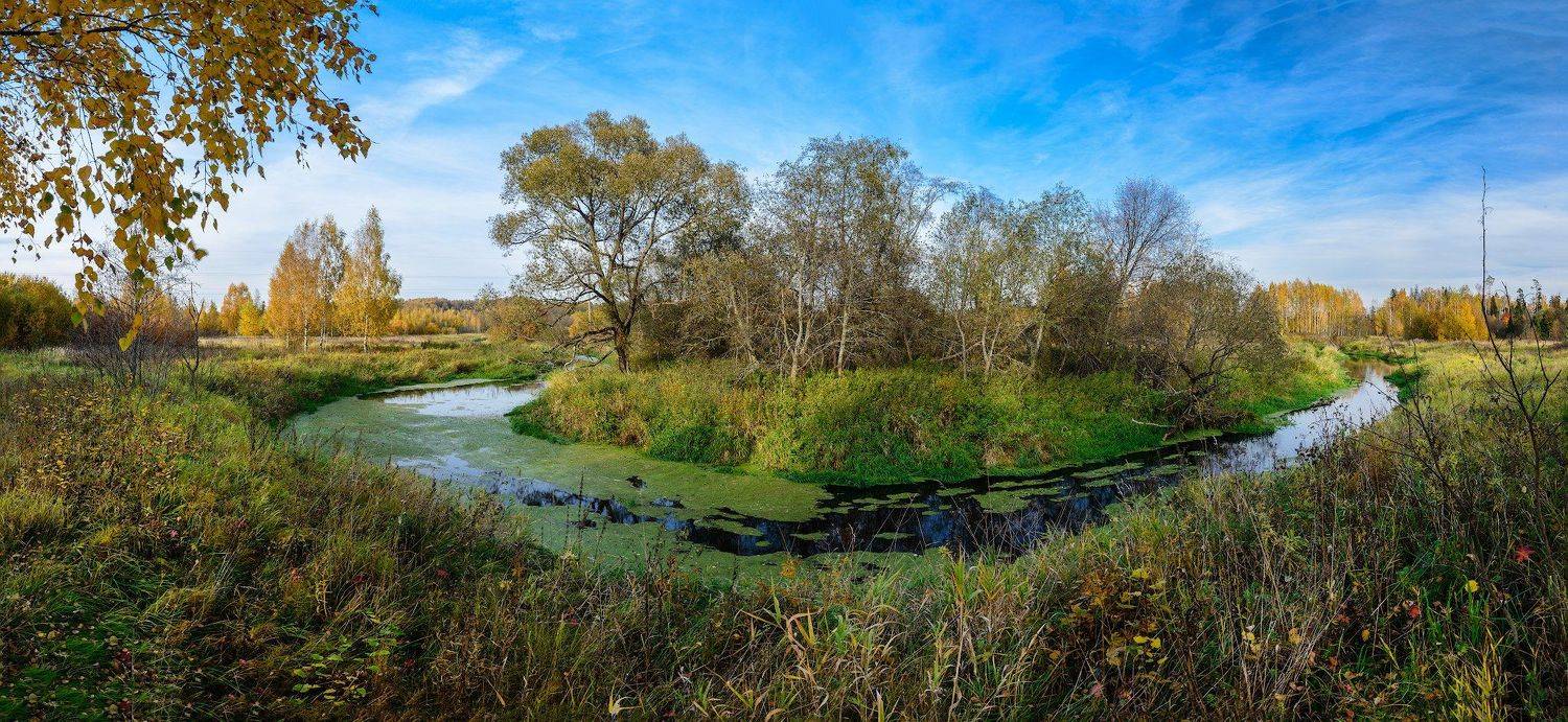 осень, река, лес, Клязьма, Сергей Пестерев