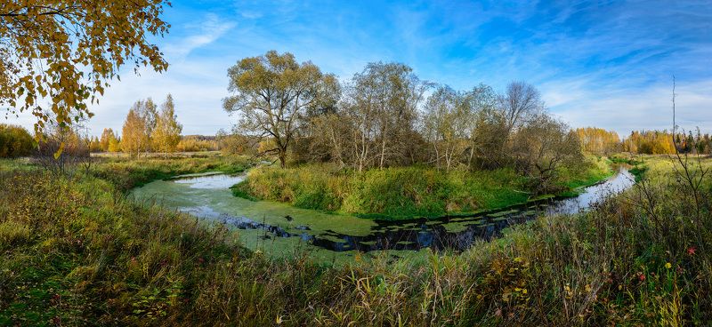 осень, река, лес, Клязьма Осень в верховьях Клязьмыphoto preview