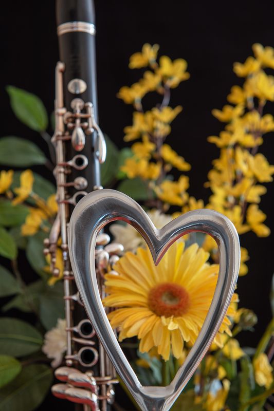 clarinet; lovely; yellow;valentine\\\'s; The Musician Valentine\'s dayphoto preview