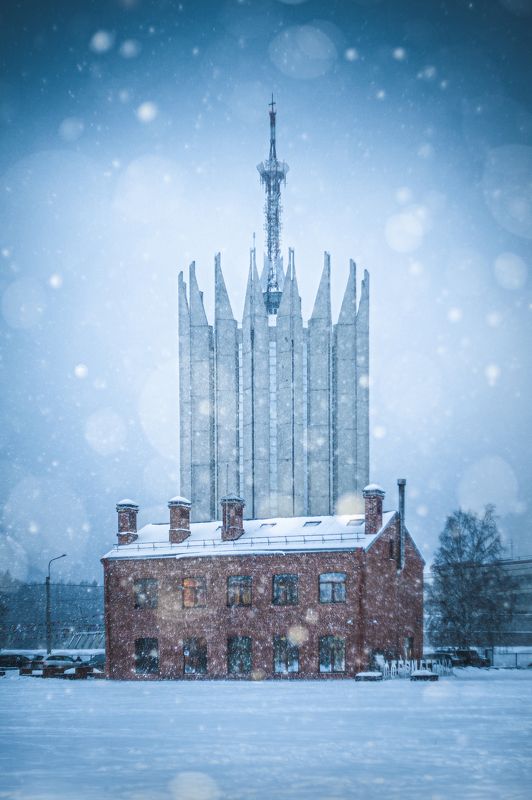 Коронаphoto preview