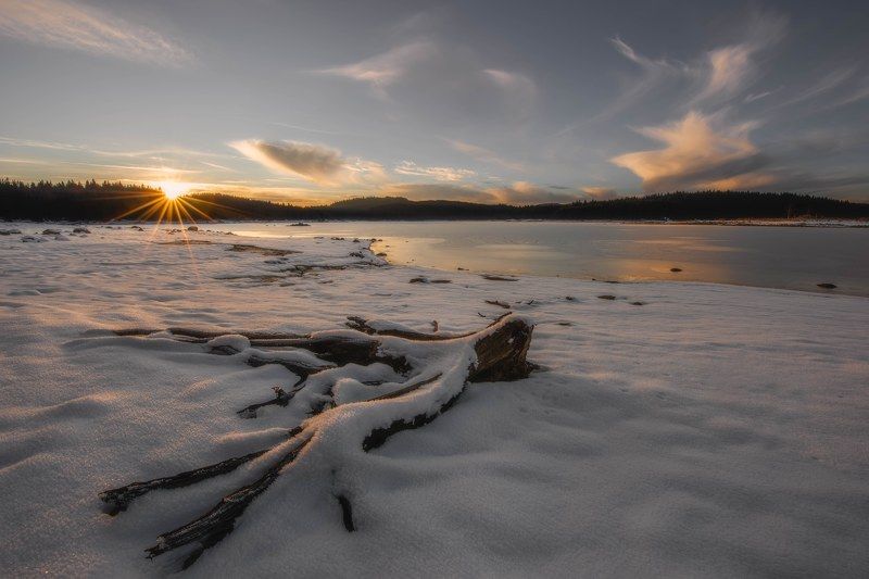 #landscape#nature#winter Cold warmphoto preview