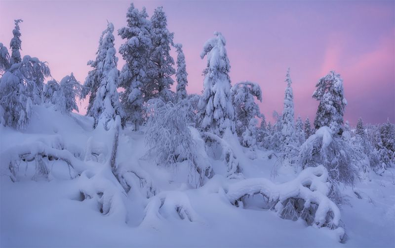 природа, пейзаж, север, кольский, панорама, природа россии, дикая природа, закат, свет, облака, вечер, тундра *photo preview