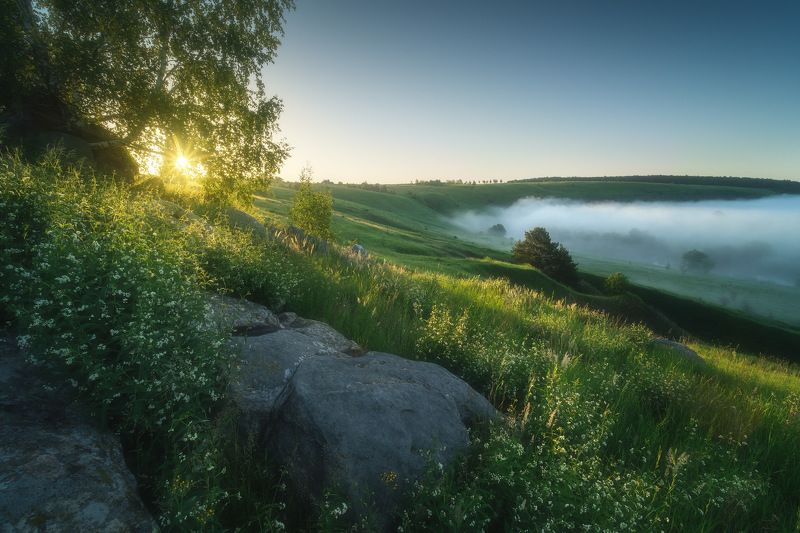россия, тульская область, ефремов, красивая меча, река, лето, природа, пейзаж, рассвет, туман, солнце, луг Красивая Мечаphoto preview
