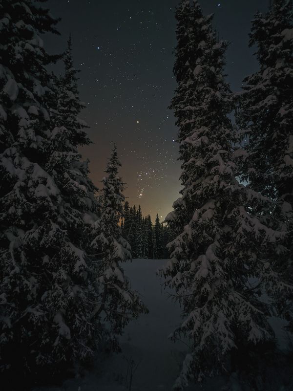 печора,ночь,звезды Окно в Космосphoto preview