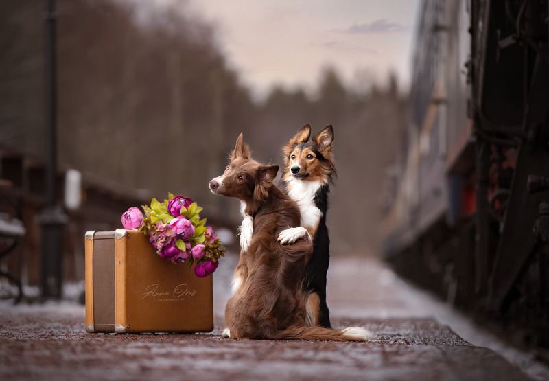 Любовьphoto preview