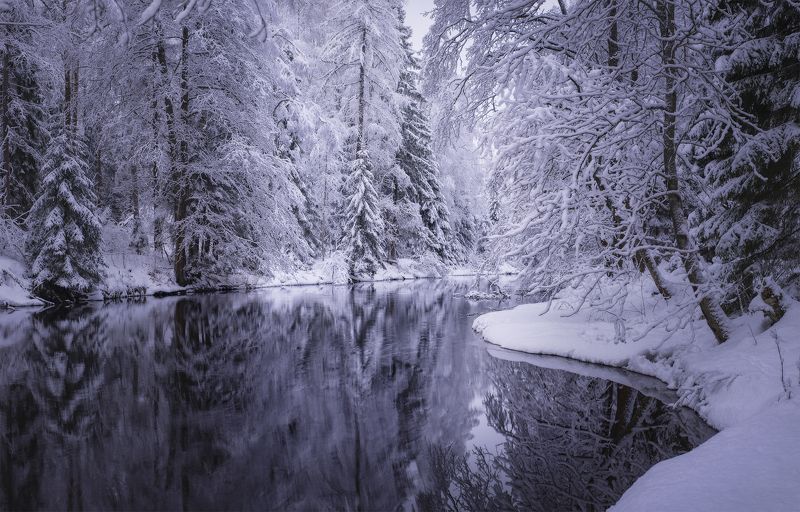 Ленобласть, зима, снег, Рощинка Ещё больше снежных картинокphoto preview