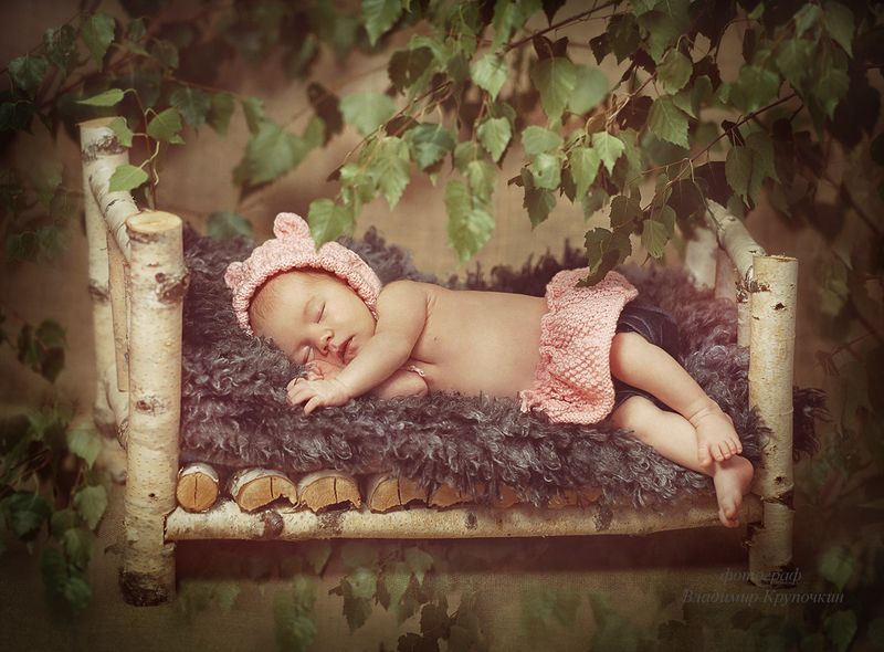 В тени березкиphoto preview