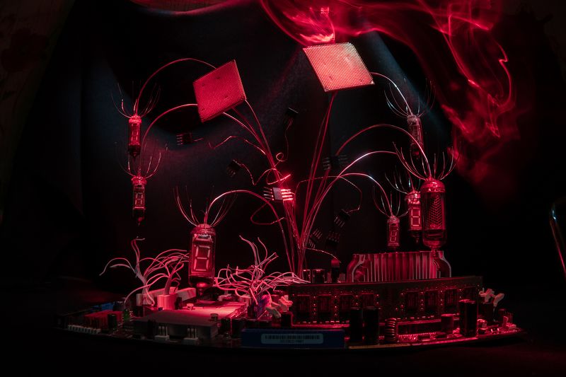 pavelskvortsov Still life redphoto preview