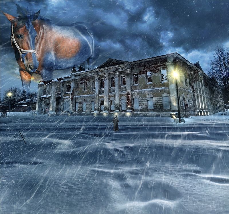 Зимние стражи Усадьбы...photo preview