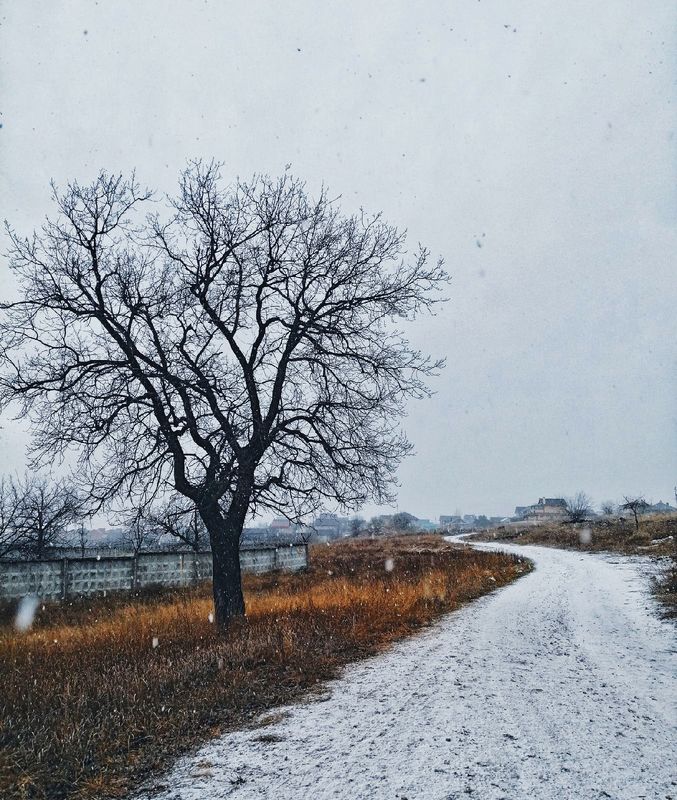 зима Тоскаphoto preview