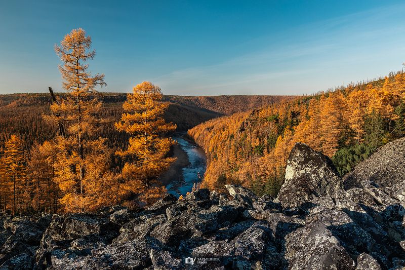 Якутия, Саха, Нерюнгри, Чульман, Осень, Природа, Тайга, Дальний восток, Сибирь Любимая Чульман photo preview