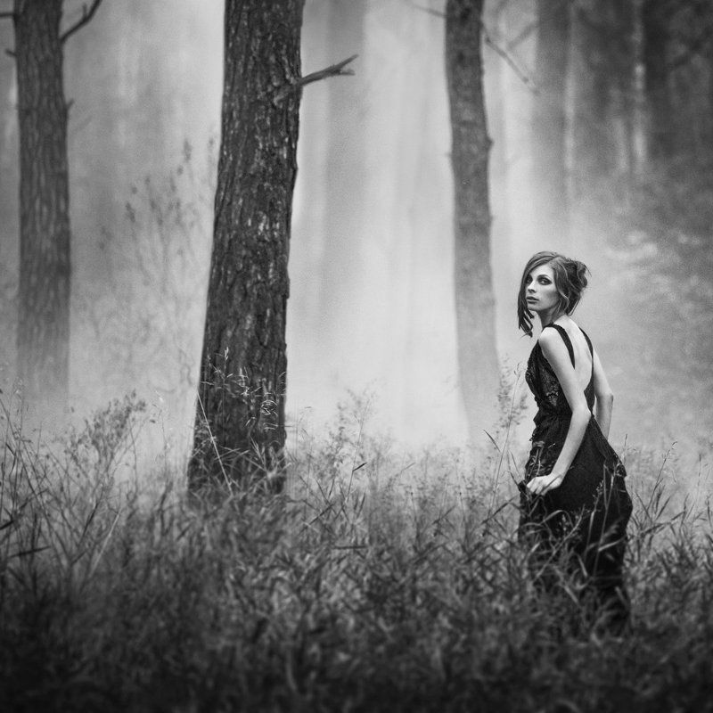 in a dreamphoto preview