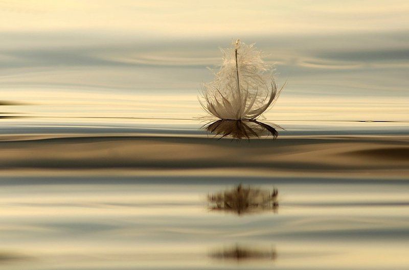 пероphoto preview