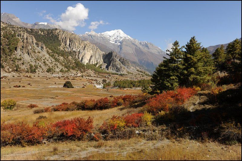 Осенние Гималаиphoto preview