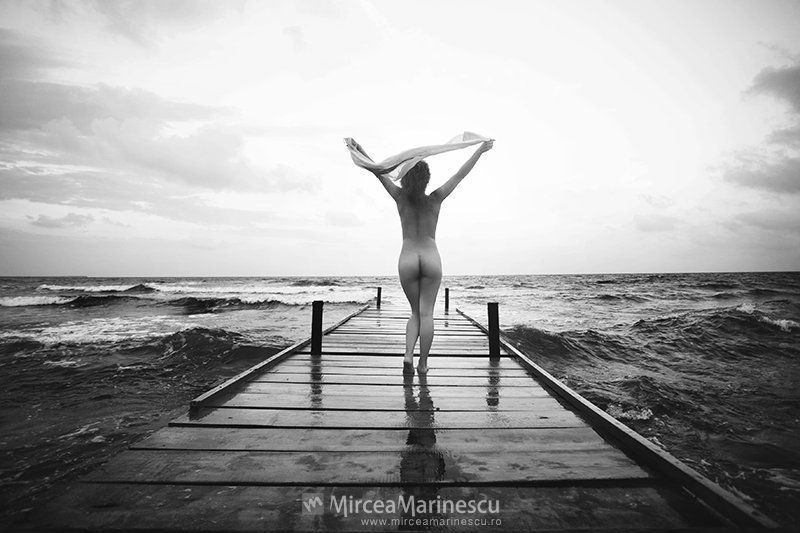 Freedomphoto preview