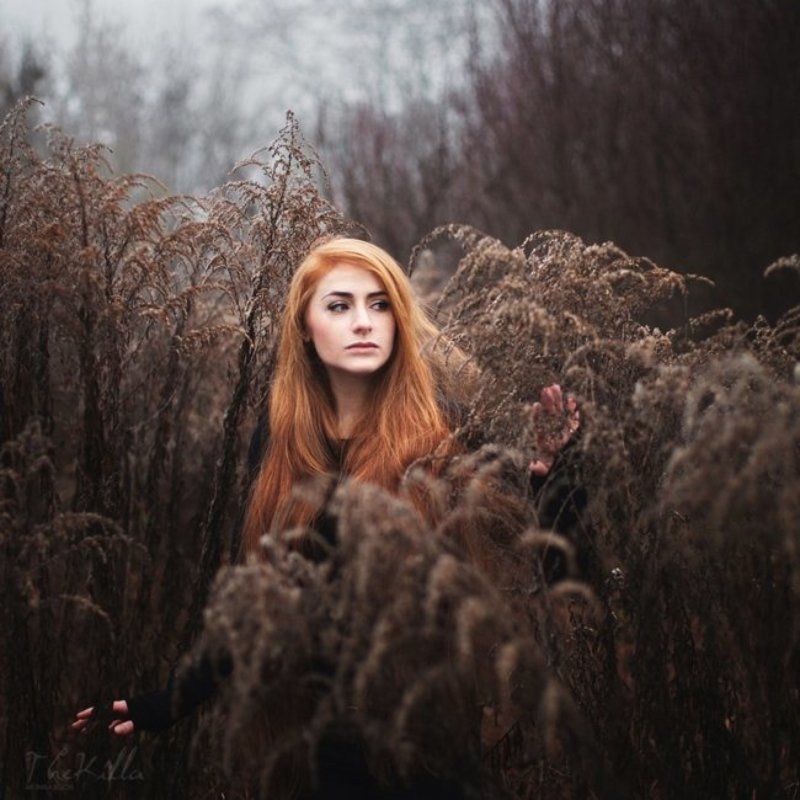 Queen of the Elvesphoto preview