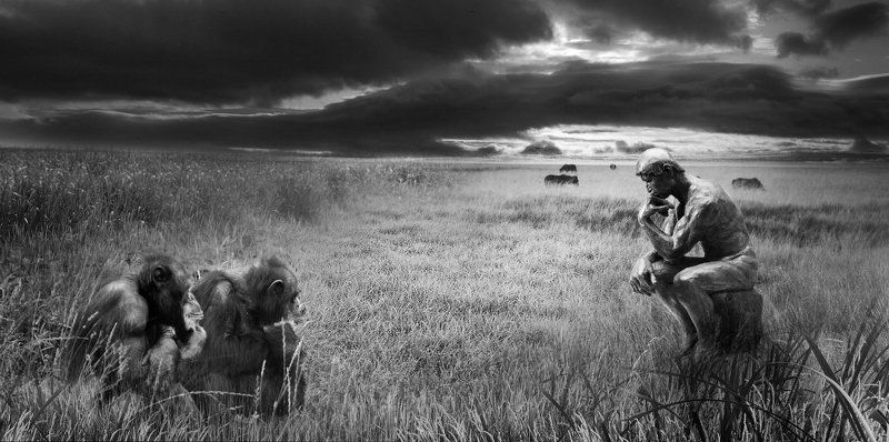 Thoughts About Artphoto preview