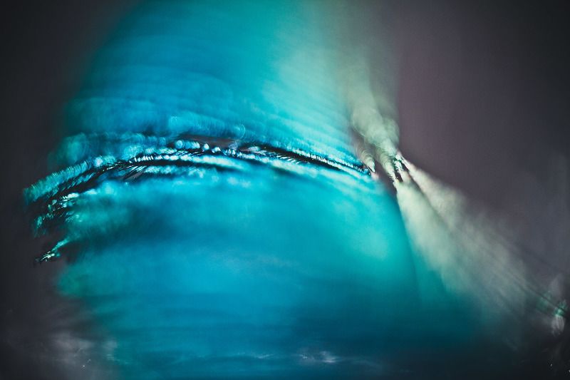 голубой, макро, перо, синий Синяя птицаphoto preview