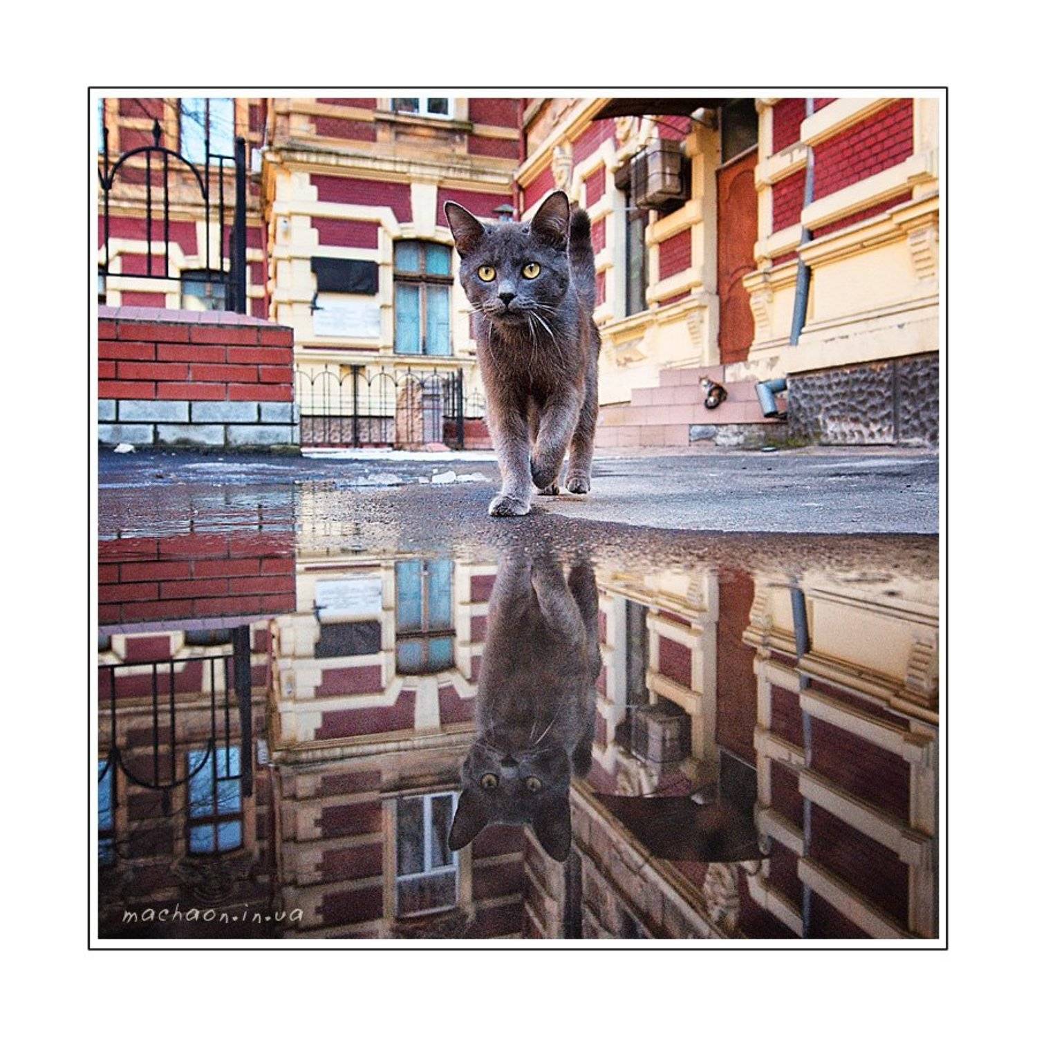 ***. Автор: Юрий Бершадский , Юрий Бершадский