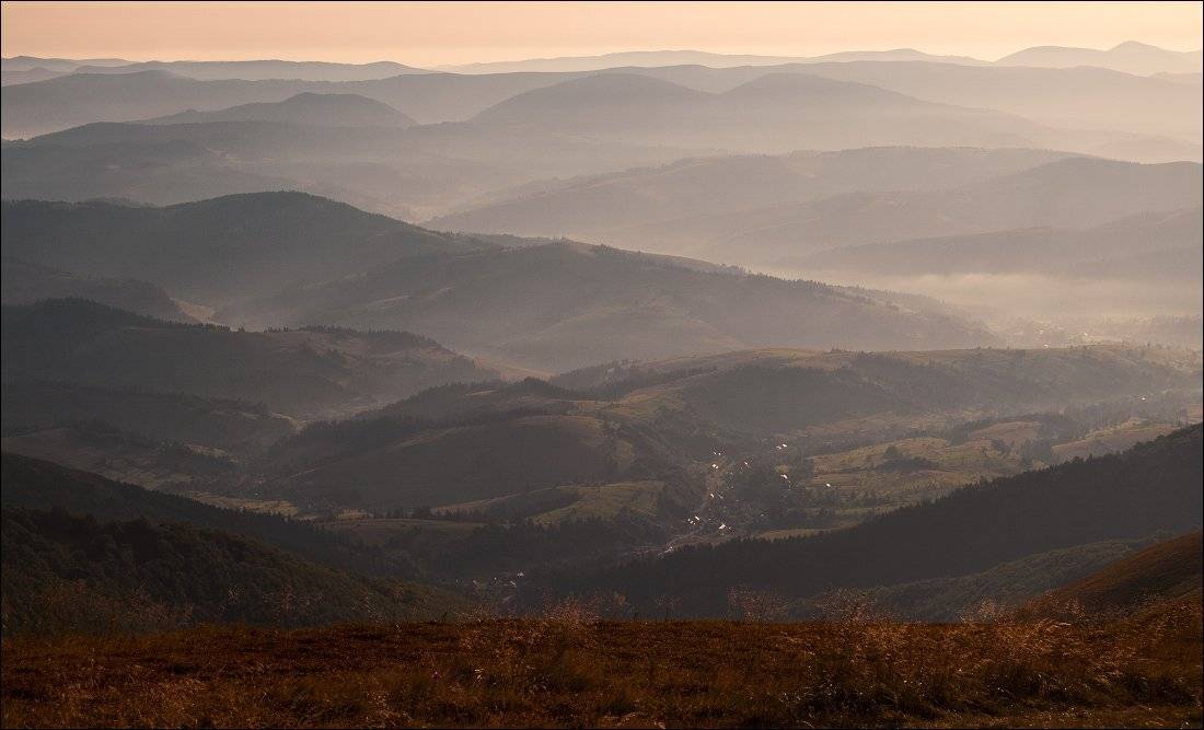 .... Автор: Полищук И.В. , Полищук И.В.
