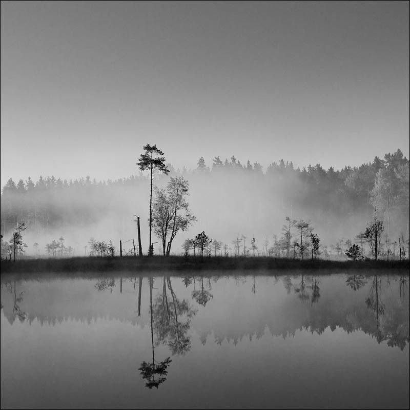 Long islandphoto preview