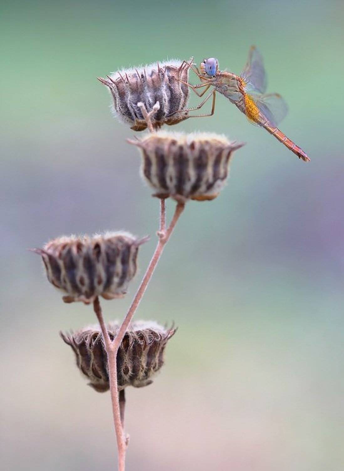 Этажи. Автор: Александр , Александр