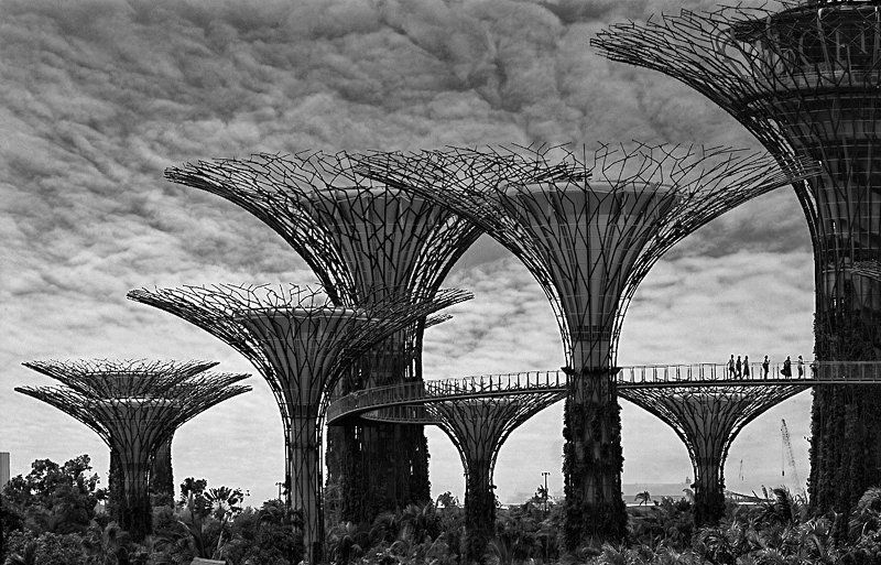 сингапур, город, будущее Путешествие в Будуще...photo preview