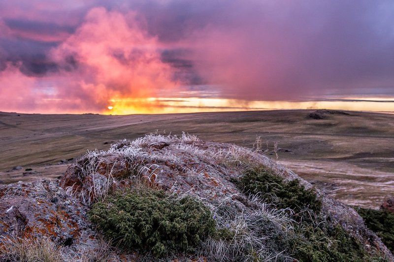 последние выходные Августаphoto preview