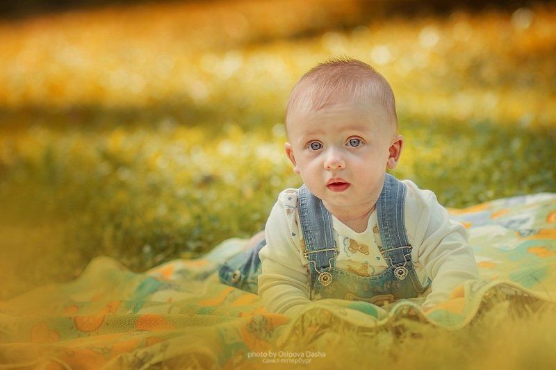 Богданphoto preview