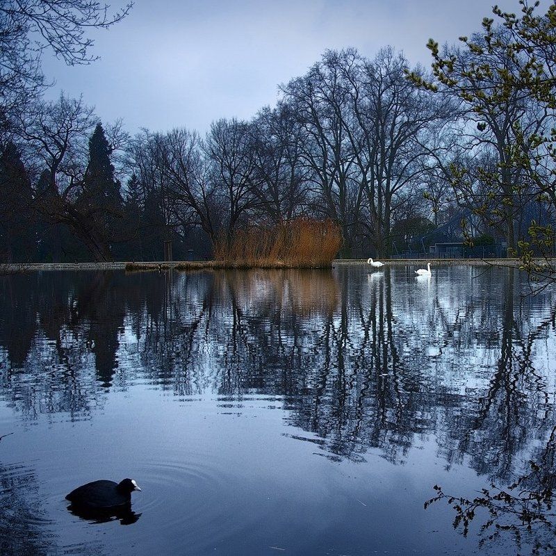 Deutschland. Stuttgart. Zoo.photo preview