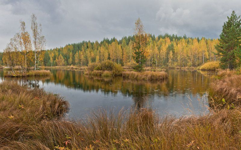 Болото, Дождь, Осень, Панорама, Пейзаж Панорама осеннего болота снятая в разные фазы дождяphoto preview