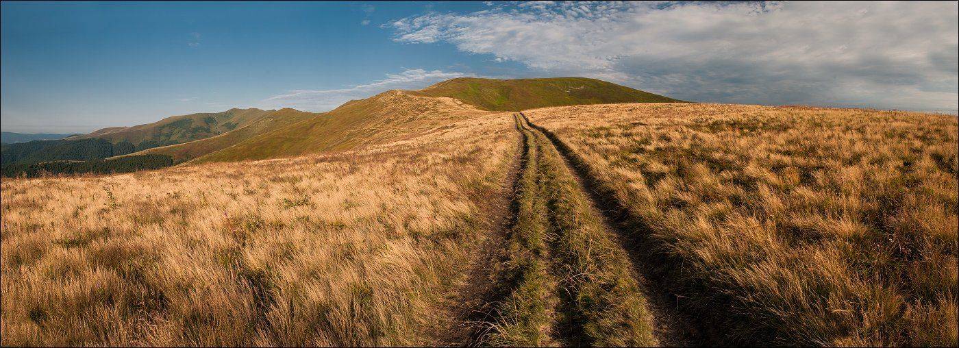 , Полищук И.В.