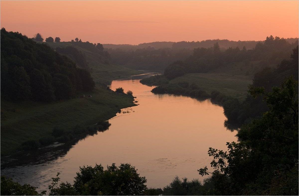 , Николай Шахманцир