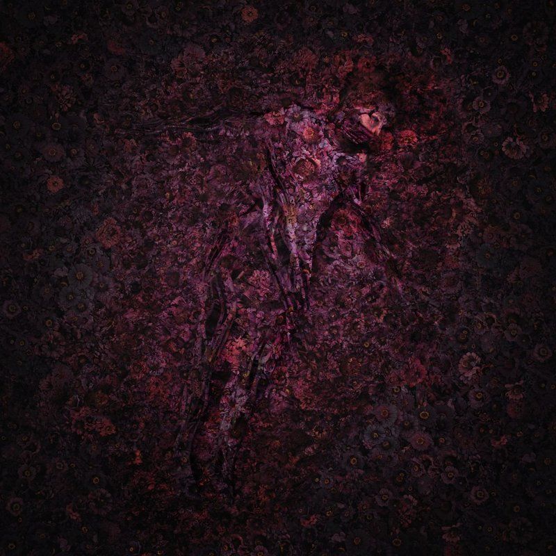 На небеphoto preview