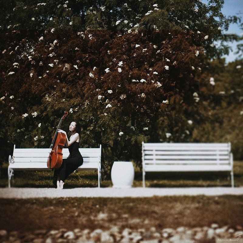 Pianissimophoto preview