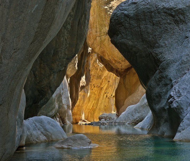 Козёликам тут не местоphoto preview