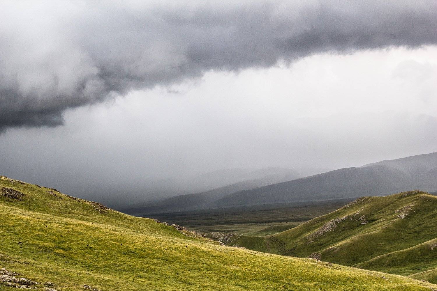 Асы. Автор: Сергей Теректі , Сергей Теректі